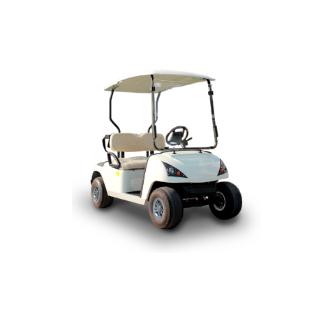 2 seater golf buggy